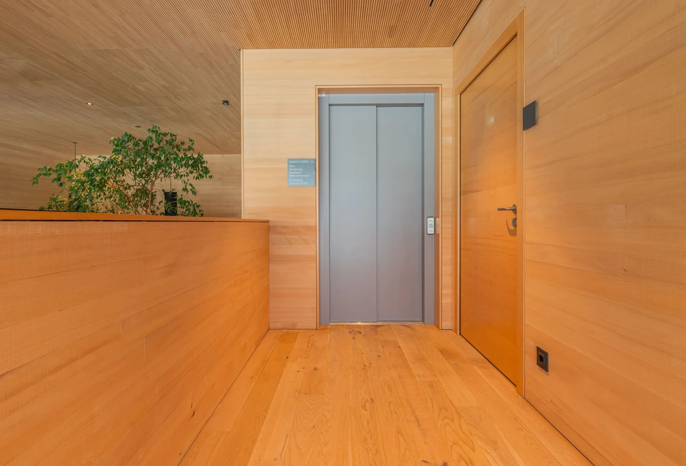 Holzverkleideter Flur mit Aufzug, Tür und Pflanze